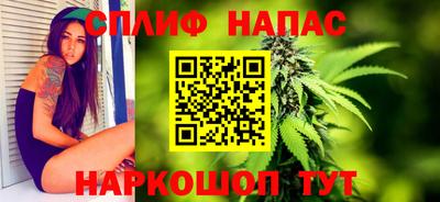 apvp Камышлов