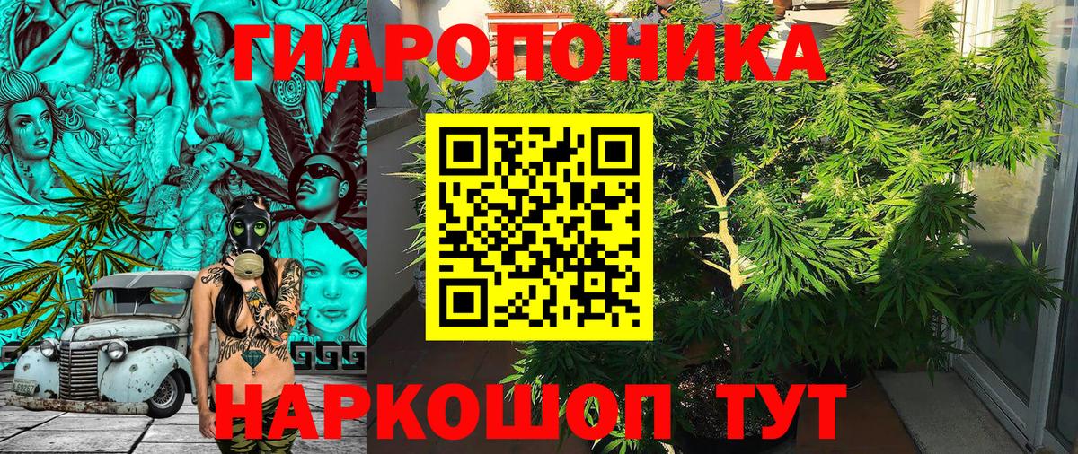 Конопля план  Марихуана семена  Канабис OG Kush  Вход с VPN  Лабинск  Бошки Шишки AK-47 